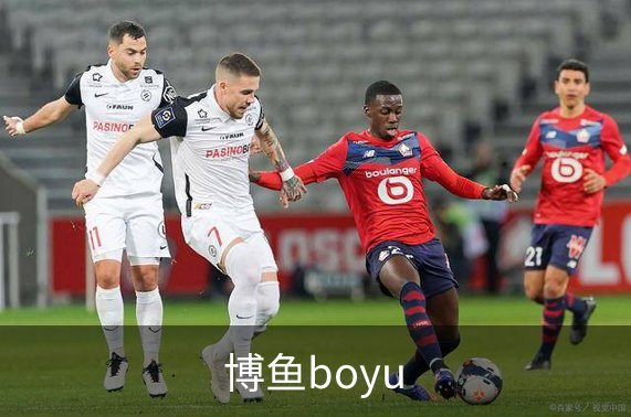 关于博鱼boyu