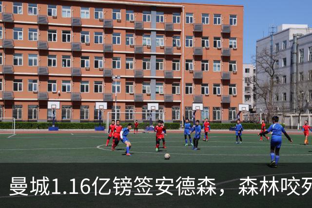 曼城1.16亿镑签安德森，森林咬死现金支付，创英球员转会纪录